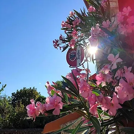 فندق Chez Laurette Chame